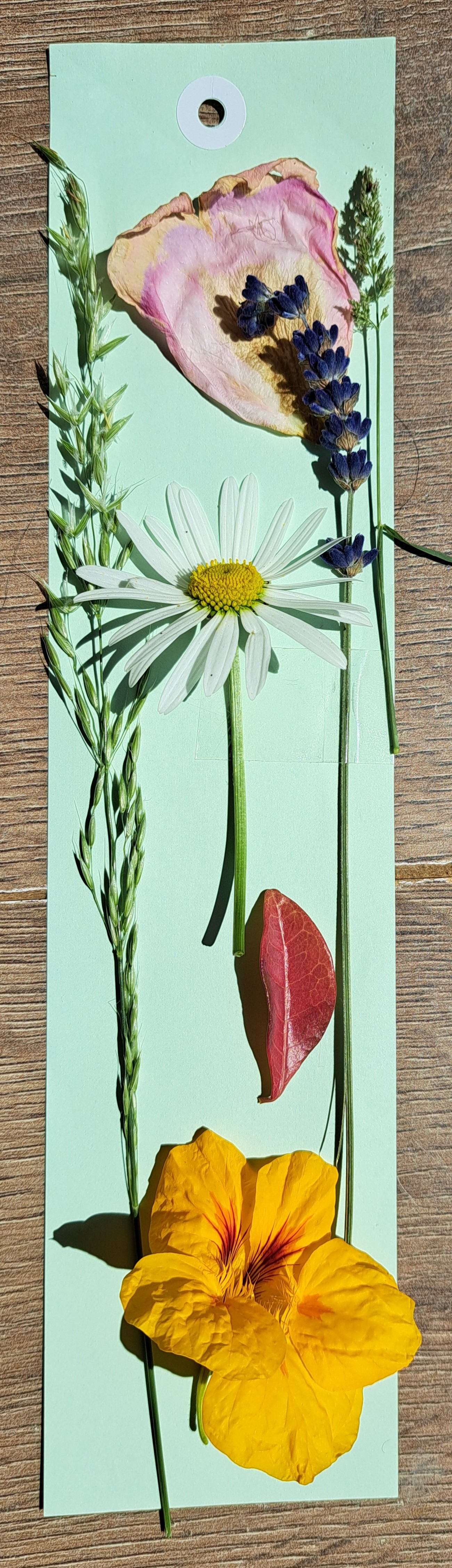 Nature Bookmark