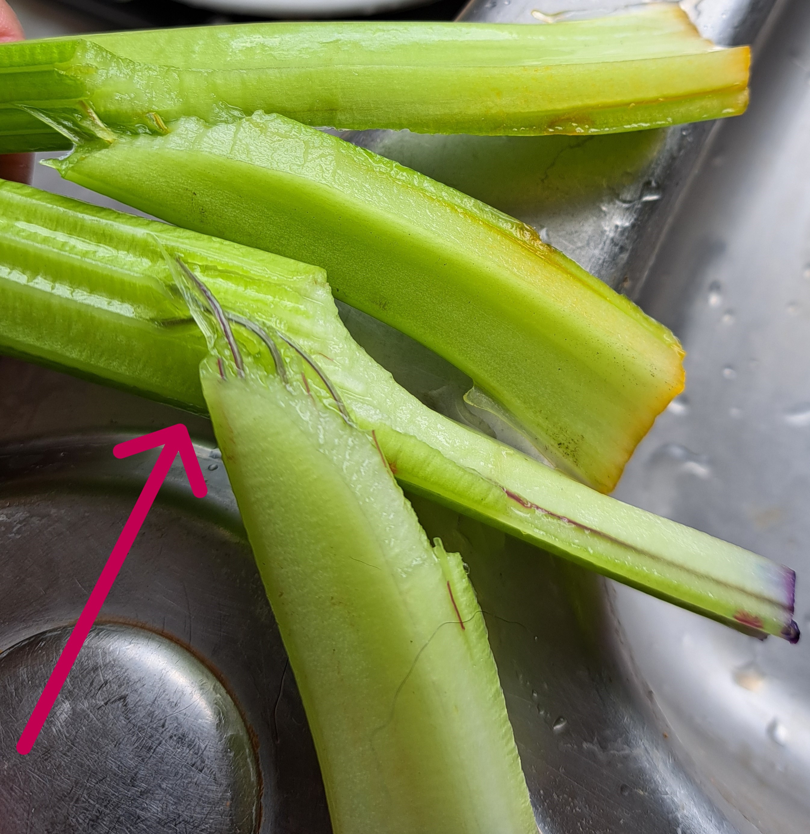 Celery Veins are now Dyed from Food Colouring