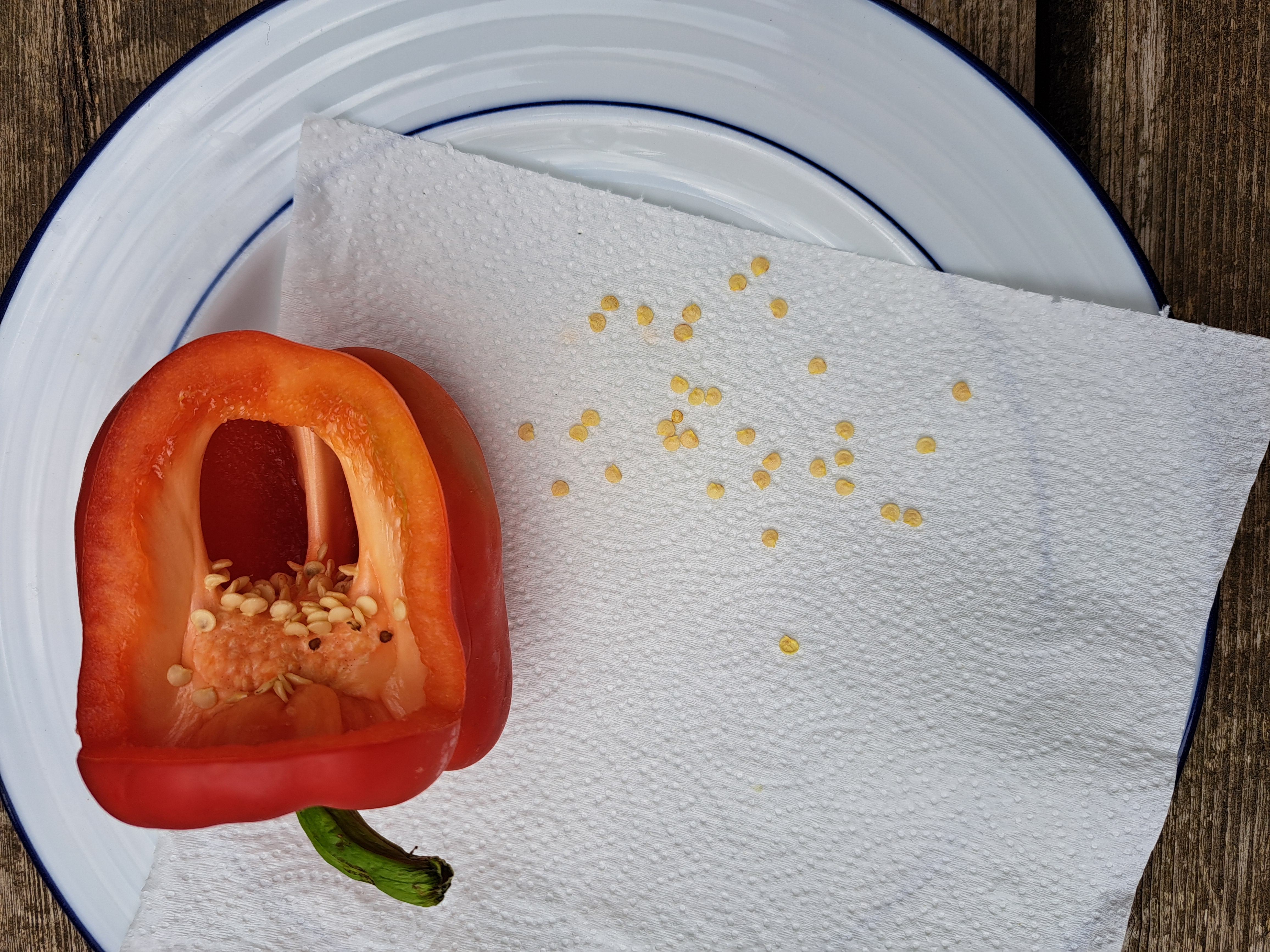 Cut pepper open and remove seeds to dry