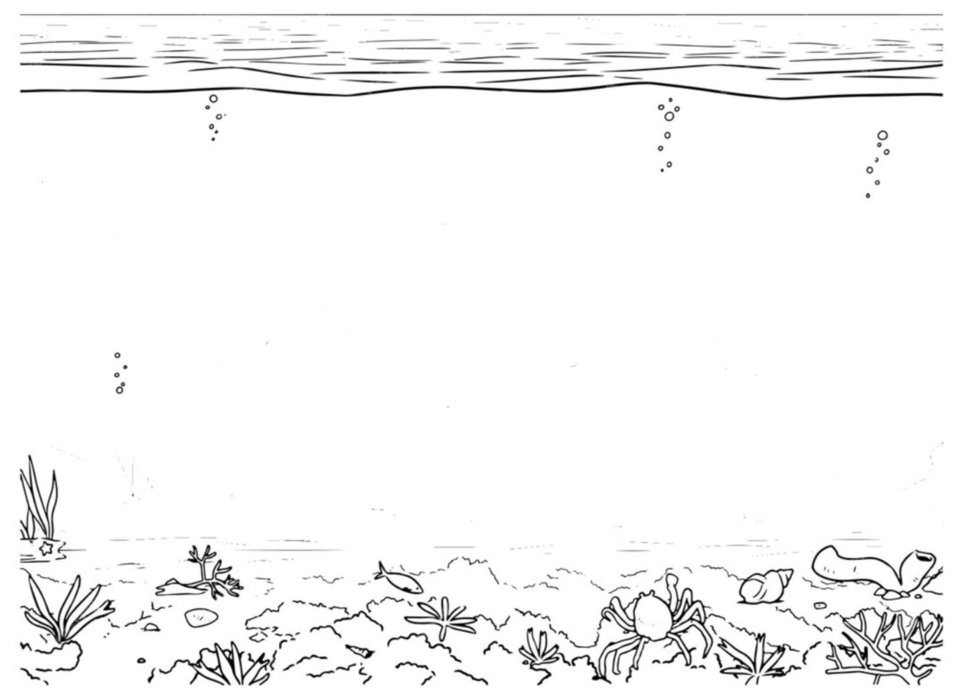 Ocean habitat