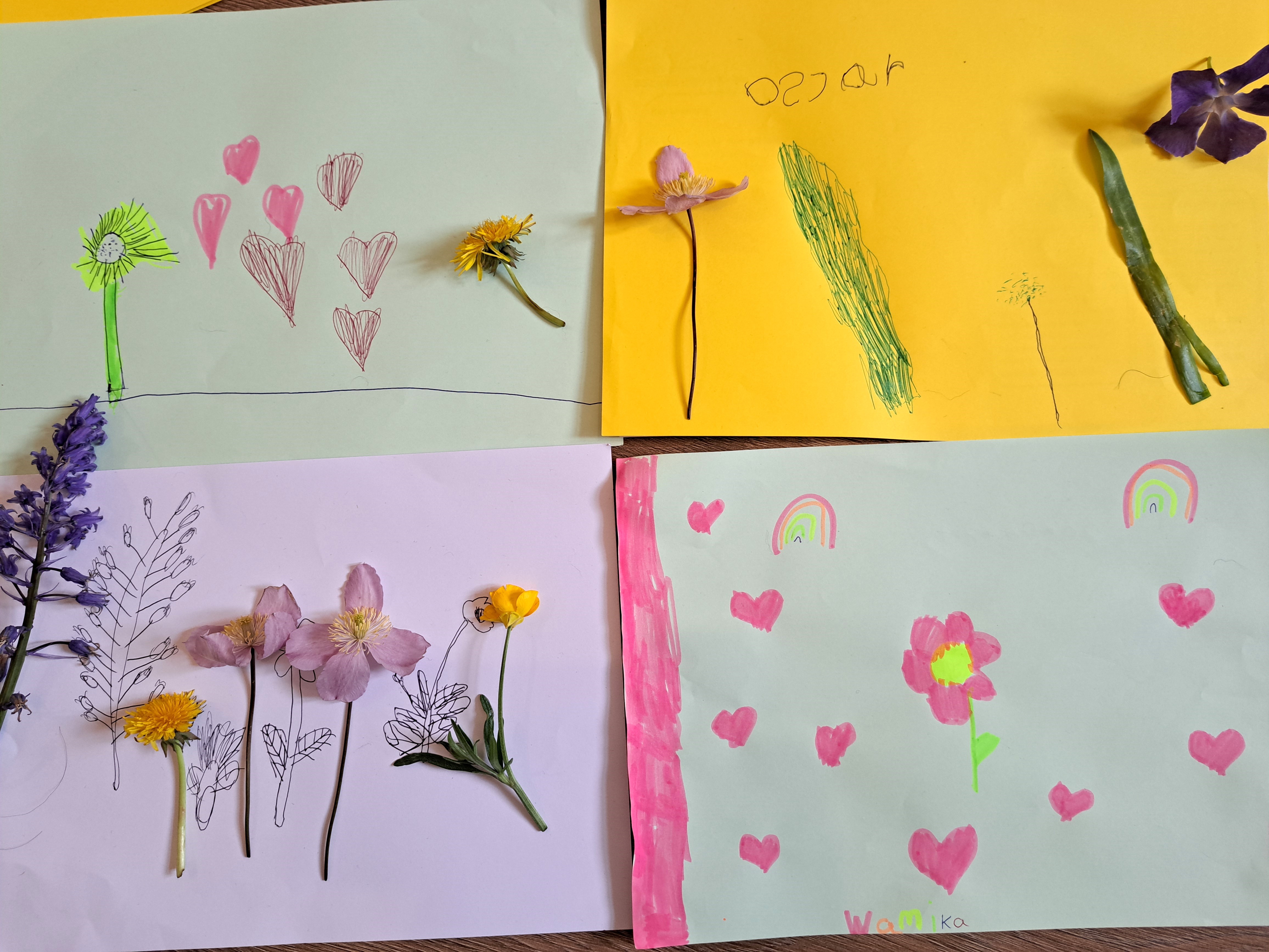 Plant Drawings from Children