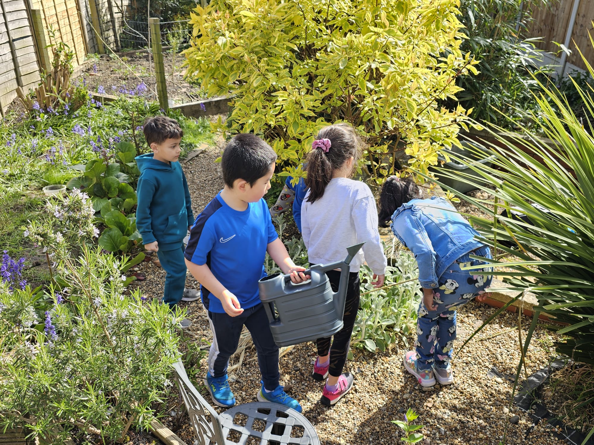 Exploring Plants in the Garden